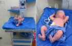 رضيع مصري يخطف الأنظار بوضعية طريفة ويحصد ملايين المشاهدات