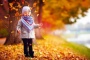 وداعا فصل الصيف.. الخريف يبدأ رسميا الأربعاء المقبل