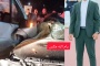 جنين:مصرع شاب من يعبد وإصابة 4 آخرين في حادث سير