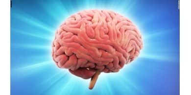 أطعمة تحفز عمل الدماغ
