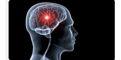 هذا ما يحدثه استنشاق أبخرة السيارات على الدماغ في غضون ساعتين فقط!