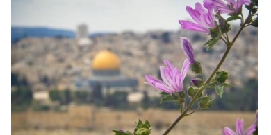 حالة الطقس: انخفاض آخر على درجات الحرارة