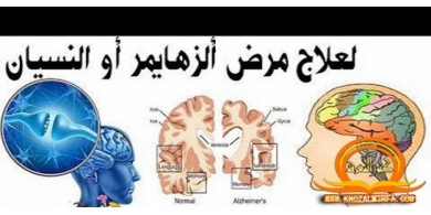 سورة في القرآن تقضي على مشكلة النسيان والزهايمر