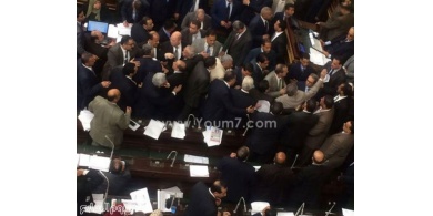 بالصور .. ضرب توفيق عكاشة بالحذاء في البرلمان المصري