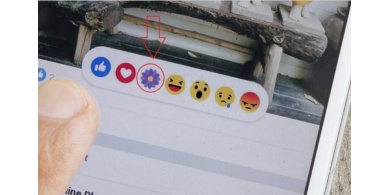 ماذا تعني هذه الزهرة البنفسجية التي ظهرت في "فيسبوك"؟