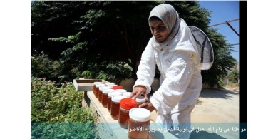 فلسطينيات من رام الله يربين النحل.. "عسل" في المكسب رغم "سمه"