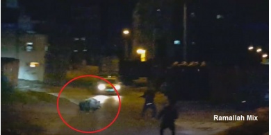شاهد بالفيديو: خنزير شرس يهاجم الصياد جمال العمواسي وجها ً لوجه .. ما حدث كان صادما ً !