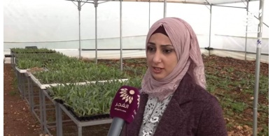 فوز الباحثة رنا الكوع بالمركز الأول لجائزة الشباب العربي 2019
