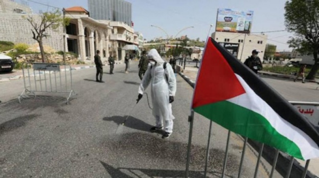 مدير صحة جنين: مؤشر الاصابات بفيروس كورونا في المحافظة في ارتفاع بتسجيل 53 إصابة جديدة