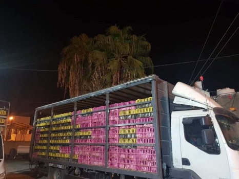 الضابطة الجمركية تضبط أكثر من 3000 طير دجاج لاحم بدون أوراق قانونية في جنين