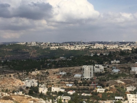 الولجة: مستوطنة جديدة تحول القرية لـ"شجرة صغيرة" وسط صحراء المستوطنات