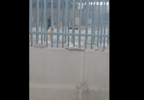 فيديو..إصابة شاب برصاص الاحتلال عند حاجز قلنديا