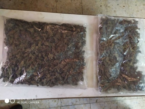 الشرطة تضبط كيلو ونصف من المواد المخدرة داخل منزل في الخليل