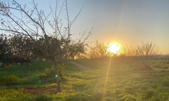 أجواء ربيعية دافئة حتى نهاية الأسبوع