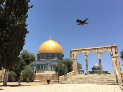 واشنطن: القدس تخضع لمفاوضات الحل النهائي