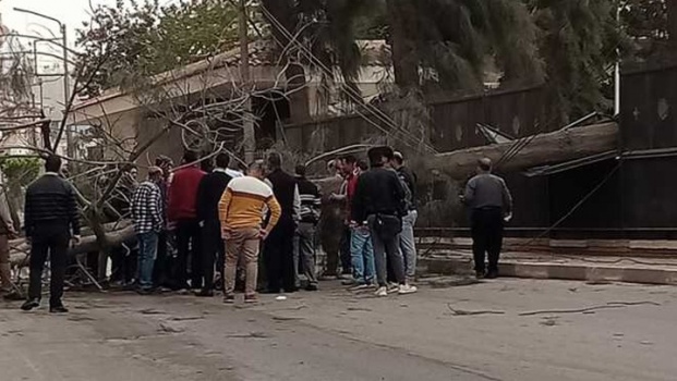 بسبب الطقس السيء.. سقوط شجرة على مصري ووفاته