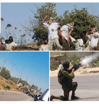 جنين: مستوطنون يهاجمون مركبات المواطنين وإغلاق طرق فرعية ومواجهات مع الإحتلال في مسلية