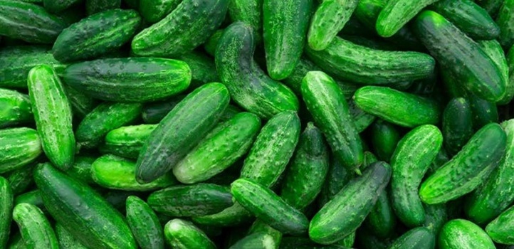 ماذا يحدث في جسمك عند تناول الخيار يوميا؟