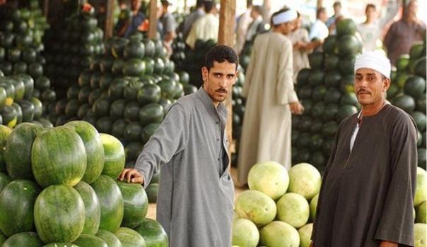 السفارة الأمريكية في القاهرة تتحدث عن البطيخ المصري