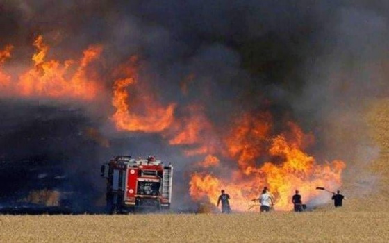 80 حريق أعشاب وأشجار ودعوة الدفاع المدني لعدم إشعال النيران