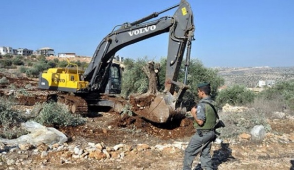 صورة ارشيفية