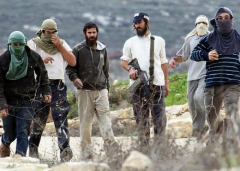 احتجاجاً على بناء الفلسطينيين في مناطق "ج"... مخطط لإقامة "14 مسيرة أعلام" بالضفة.