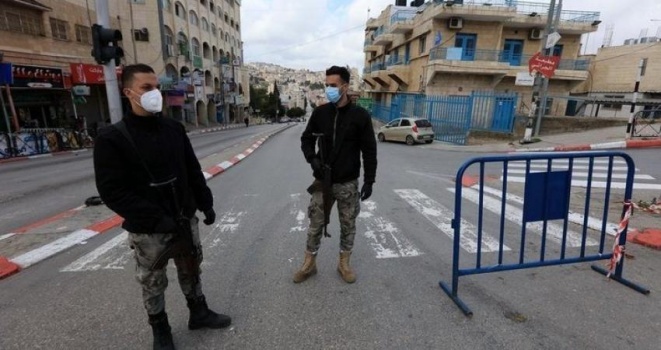 لا وفيات ... 173 اصابة جديدة بفيروس كورونا في فلسطين