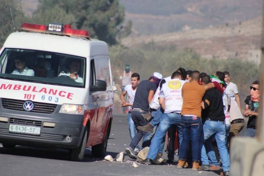 إصابة مواطن ونجله بجروح خطيرة في اعتداء للمستوطنين جنوب الخليل
