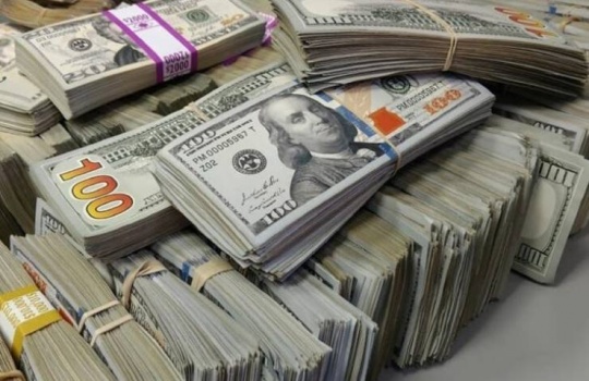 مبلغ يفوق ميزانيات دول.. زوجان يجدان في حسابهما 50 مليار دولار