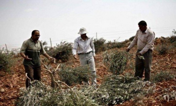 صورة ارشيفية