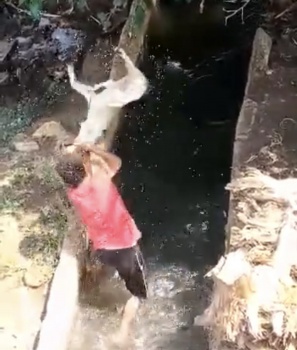 لبنان : شاب يقوم بتعذيب وحشي جداً لـ"كلب" ومطالبات بمحاسبته!