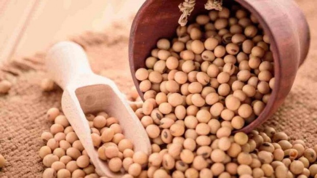 فوائد عظيمة يقدمها فول الصويا للنساء