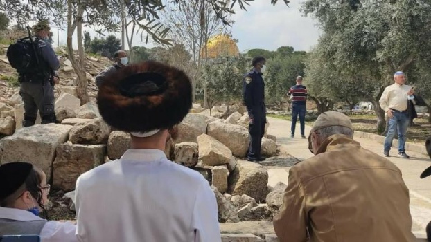 تفاصيل قرار محكمة الاحتلال.. صلاة اليهود الصامتة في الأقصى عملاً مشروعاً لا يمكن تجريمه