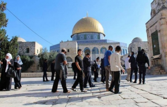 الكنيست يدرج الأقصى ضمن رحلات المدارس الإسرائيلية لأول مرة منذ عام 67