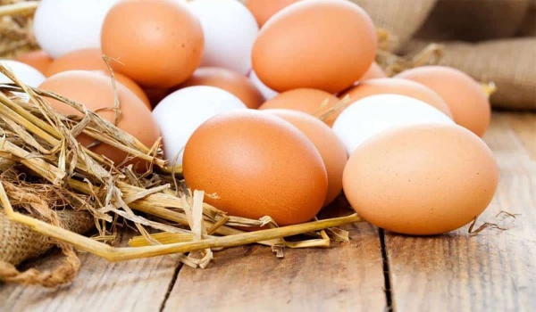 ما الفرق بين البيض الأبيض والأحمر؟