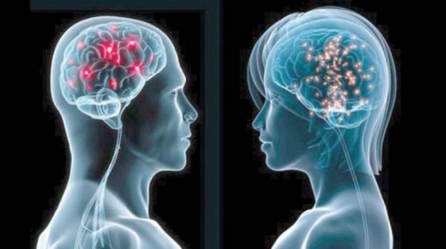دراسة تكشف أسباب اختلاف عمل دماغ الرجل عن المرأة