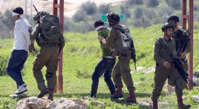 بينهم فتية ومحررون.. الاحتلال يعتقل 16 فلسطينياً بالضفة الغربية