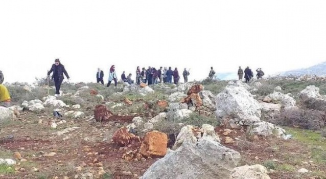 الاحتلال يحتجز مزارعة فلسطينية في نابلس