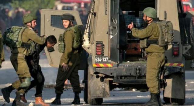 الاحتلال يعتقل 14 فلسطينيًا من الضفة