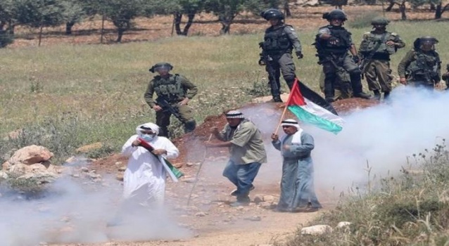إصابات إثر مواجهات مع الاحتلال في "بيت دجن"