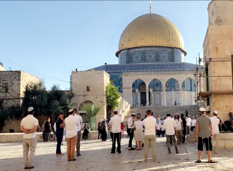 دعوات فلسطينية للاعتكاف في الأقصى للتصدي لاقتحام المستوطنين غدًا