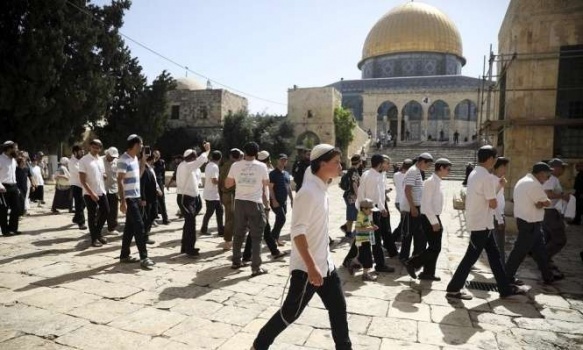 الأوقاف تحذر من اقتحامات المستوطنين للأقصى غداً الأحد