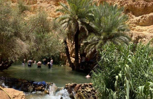 الاحتلال يعلن سيطرته على أكبر محمية طبيعية بالضفة منذ "أوسلو"