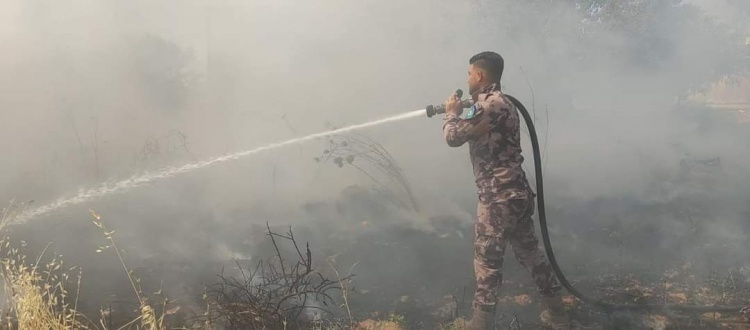 مستوطنون يحرقون أراضي زراعية ويهاجمون منازل جنوب نابلس