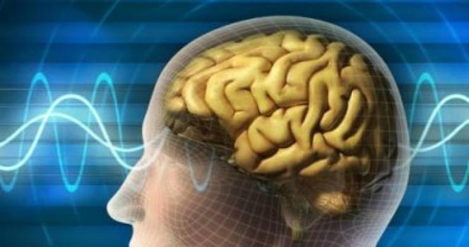 أسوأ الأطعمة والمشروبات لصحة الدماغ