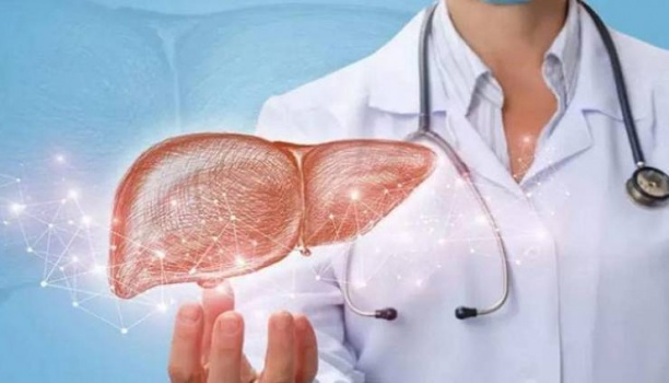 أطعمة ومشروبات لا يمكن الاستغناء عنها لصحة الكبد