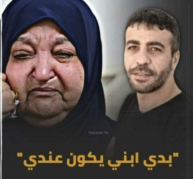 أم ناصر أبو حميد: ما ضل حكي !
