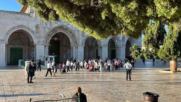 أعداد كبيرة من المستوطنين يقتحمون الأقصى في ثاني أيام "عيد العرش"