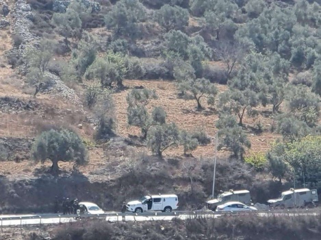 جيش الاحتلال: فلسطينيون ألقوا عبوة محلية الصنع على حاجز قرب نابلس