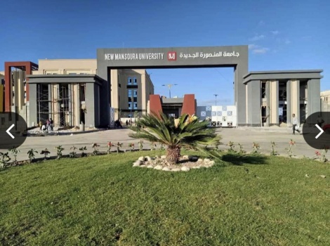 ما حقيقة خصخصة التعليم الجامعي في مصر؟